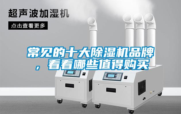 常見(jiàn)的十大除濕機品牌，看看哪些值得購買(mǎi)