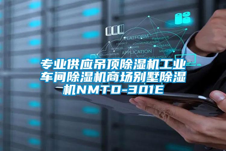 專(zhuān)業(yè)供應吊頂除濕機工業(yè)車(chē)間除濕機商場(chǎng)別墅除濕機NMTD-301E