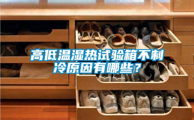 高低溫濕熱試驗箱不制冷原因有哪些？