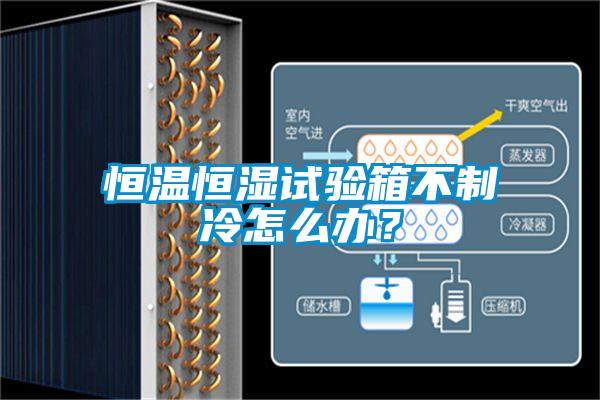 恒溫恒濕試驗箱不制冷怎么辦？