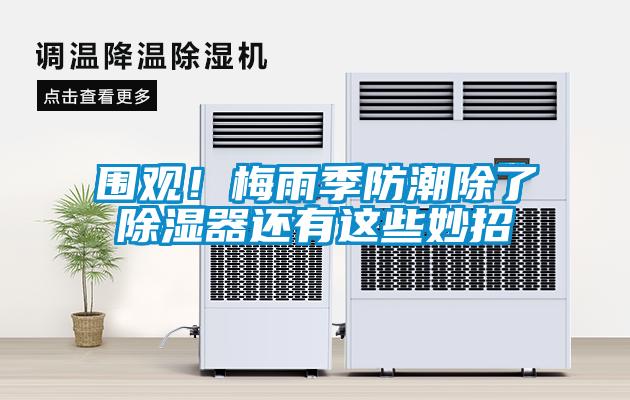 圍觀(guān)！梅雨季防潮除了除濕器還有這些妙招