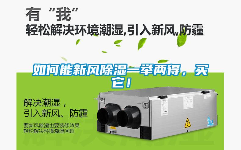 如何能新風(fēng)除濕一舉兩得，買(mǎi)它！