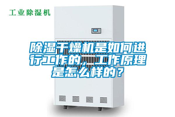 除濕干燥機是如何進(jìn)行工作的，工作原理是怎么樣的？