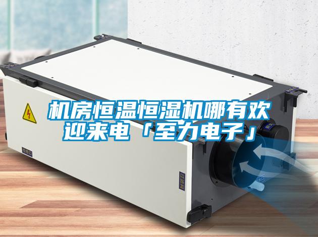 機房恒溫恒濕機哪有歡迎來(lái)電「至力電子」