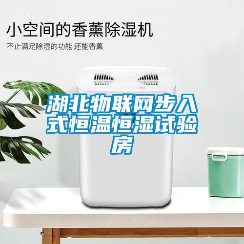 湖北物聯(lián)網(wǎng)步入式恒溫恒濕試驗房