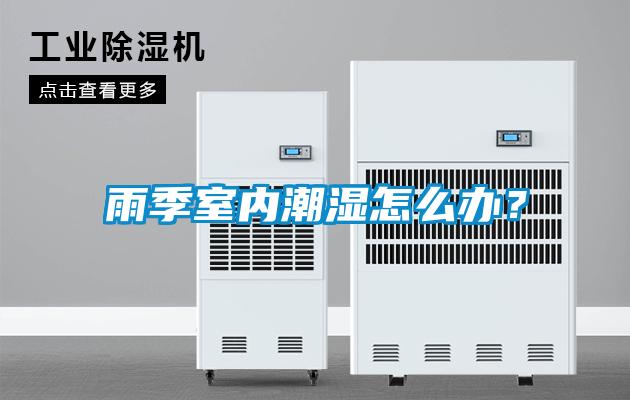 雨季室內潮濕怎么辦？