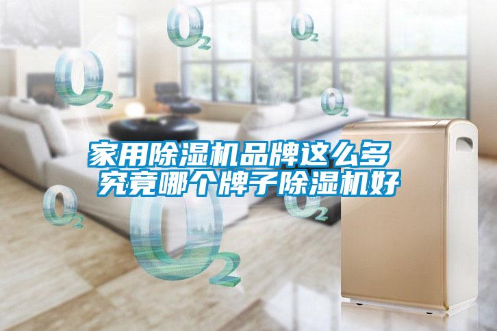 家用除濕機品牌這么多 究竟哪個(gè)牌子除濕機好