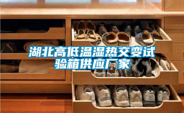 湖北高低溫濕熱交變試驗箱供應廠(chǎng)家