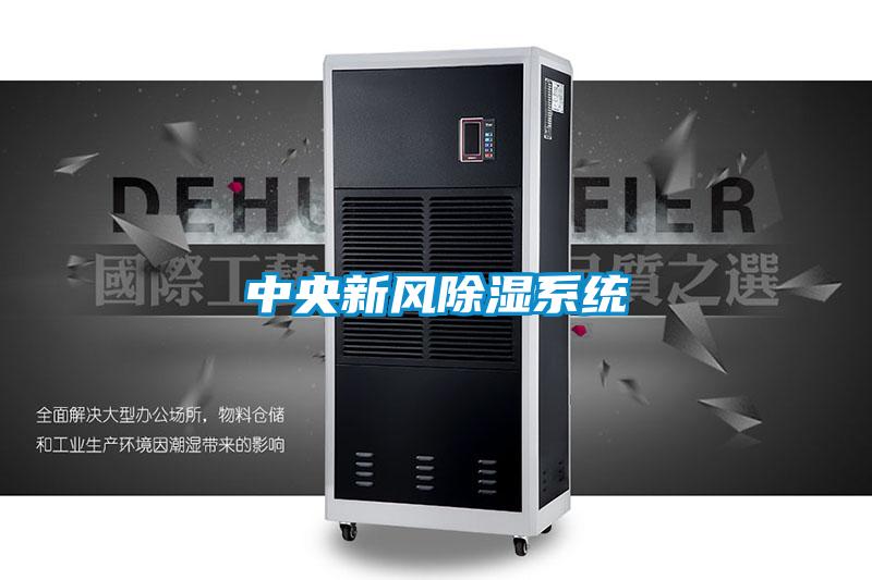 中央新風(fēng)除濕系統