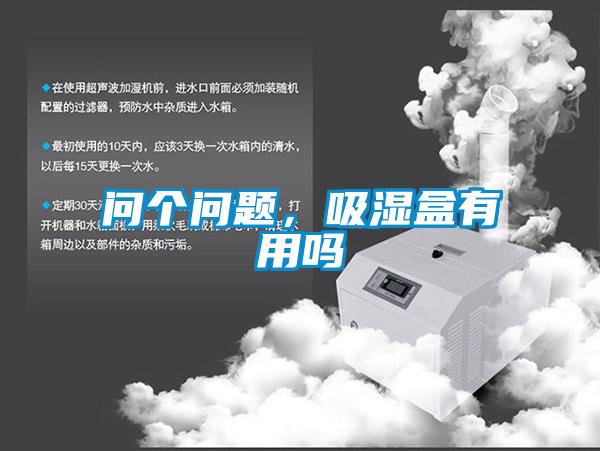 問(wèn)個(gè)問(wèn)題，吸濕盒有用嗎