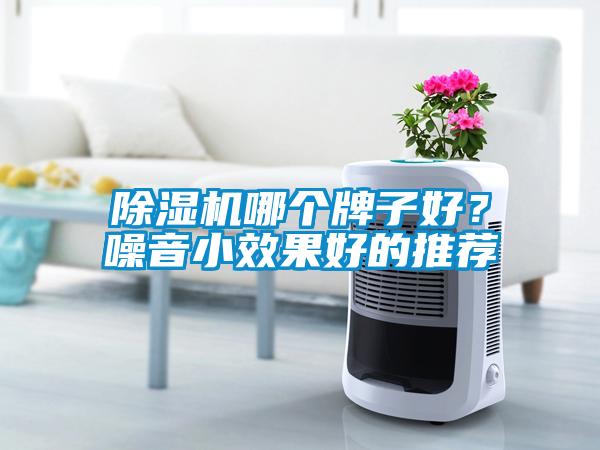 除濕機哪個(gè)牌子好？噪音小效果好的推薦