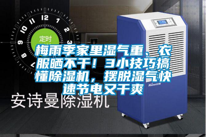 梅雨季家里濕氣重、衣服曬不干！3小技巧搞懂除濕機，擺脫濕氣快速節電又干爽