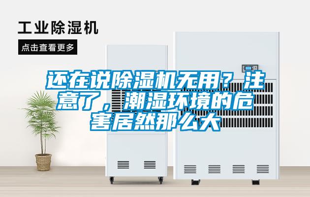 還在說(shuō)除濕機無(wú)用？注意了，潮濕環(huán)境的危害居然那么大