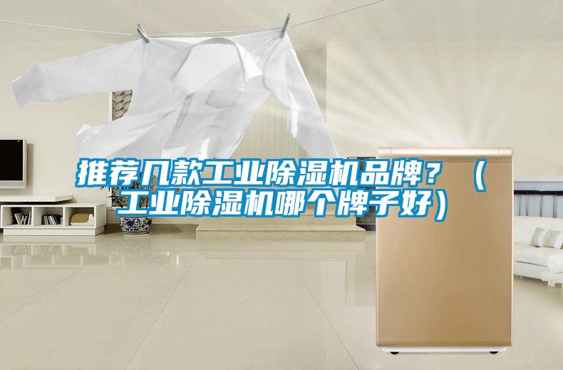 推薦幾款工業(yè)除濕機品牌？（工業(yè)除濕機哪個(gè)牌子好）