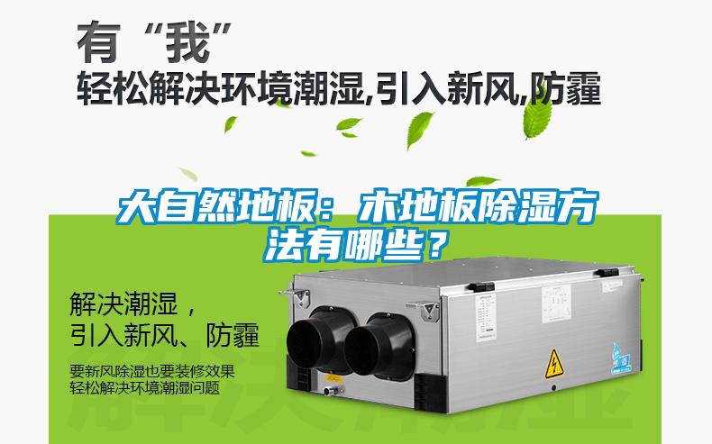 大自然地板：木地板除濕方法有哪些？