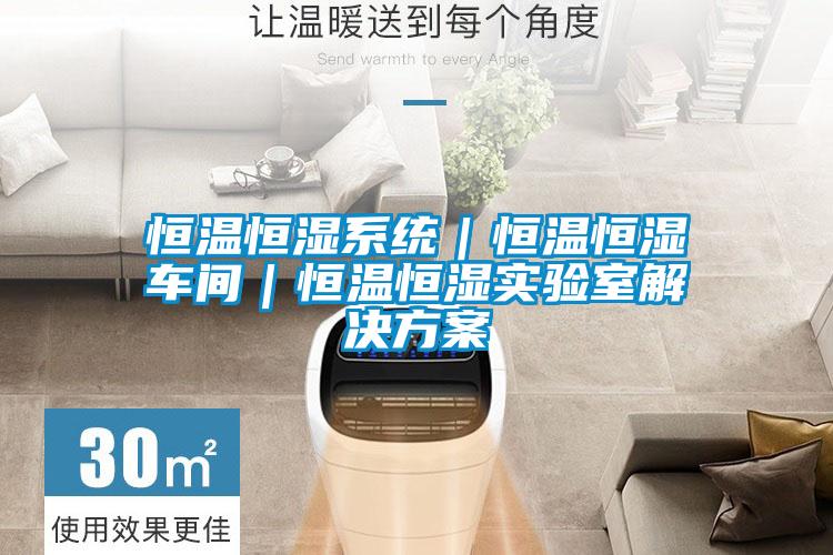 恒溫恒濕系統｜恒溫恒濕車(chē)間｜恒溫恒濕實(shí)驗室解決方案