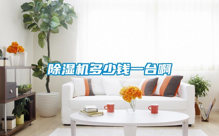 除濕機多少錢(qián)一臺啊