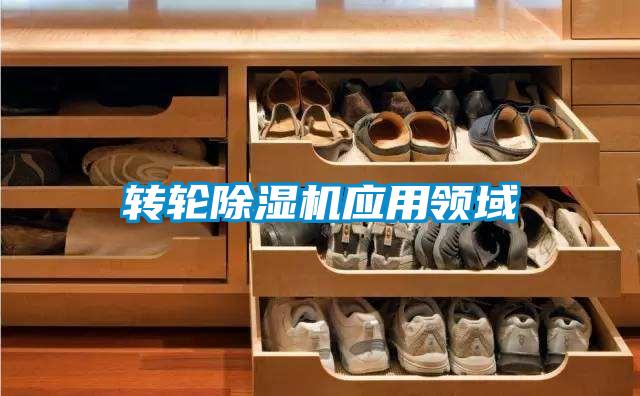 轉輪除濕機應用領(lǐng)域