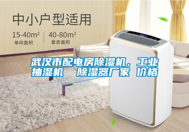 武漢市配電房除濕機，工業(yè)抽濕機  除濕器廠(chǎng)家 價(jià)格