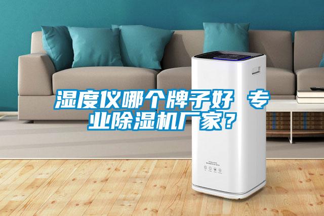 濕度儀哪個(gè)牌子好 專(zhuān)業(yè)除濕機廠(chǎng)家？