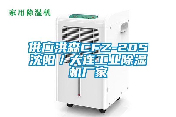 供應洪森CFZ-20S沈陽(yáng)／大連工業(yè)除濕機廠(chǎng)家
