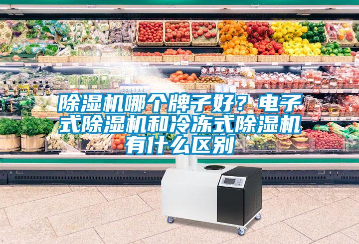 除濕機哪個(gè)牌子好？電子式除濕機和冷凍式除濕機有什么區別