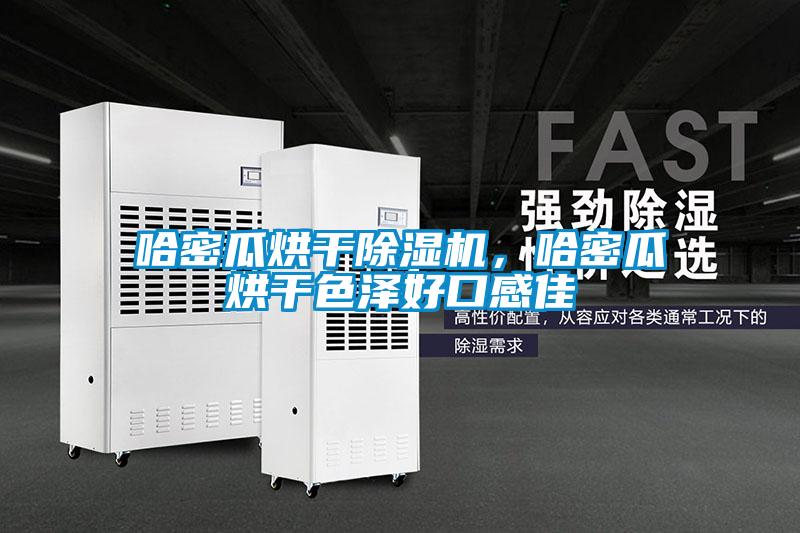 哈密瓜烘干除濕機，哈密瓜烘干色澤好口感佳