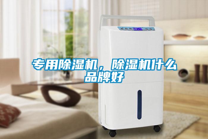 專(zhuān)用除濕機，除濕機什么品牌好