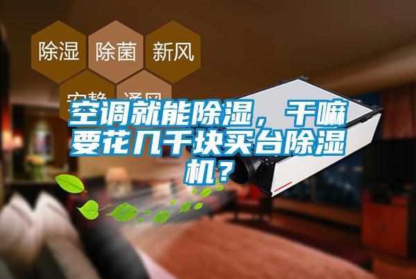 空調就能除濕，干嘛要花幾千塊買(mǎi)臺除濕機？