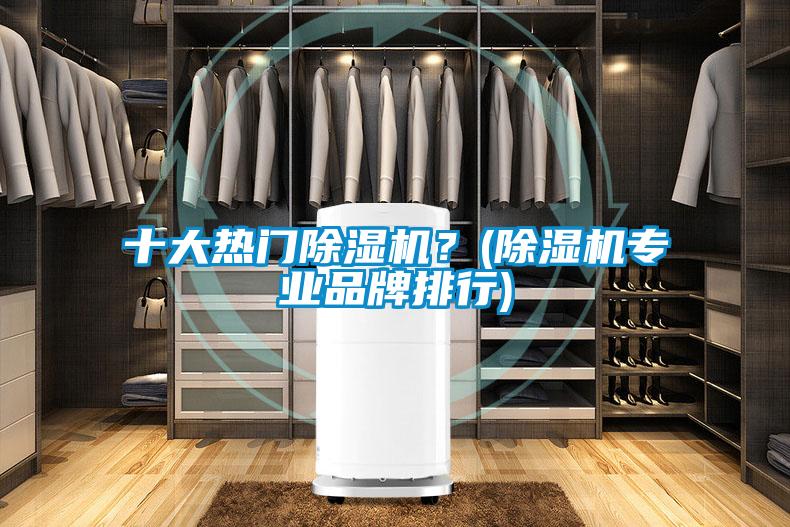 十大熱門(mén)除濕機？(除濕機專(zhuān)業(yè)品牌排行)