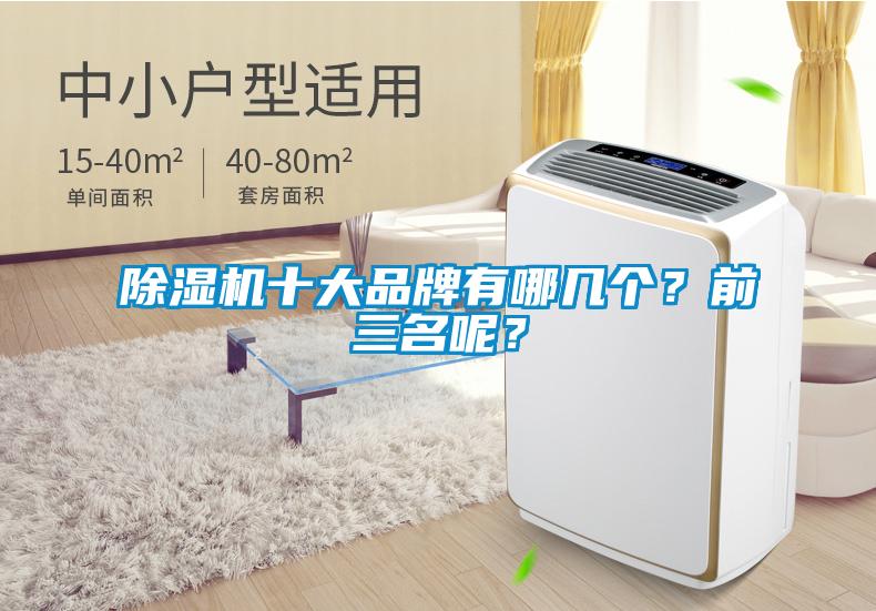除濕機十大品牌有哪幾個(gè)？前三名呢？
