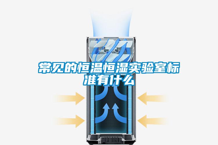 常見(jiàn)的恒溫恒濕實(shí)驗室標準有什么