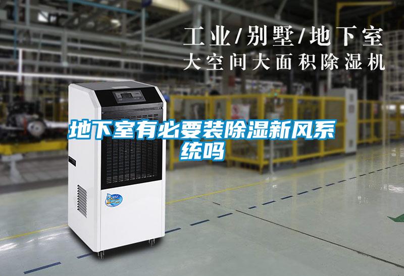 地下室有必要裝除濕新風(fēng)系統嗎