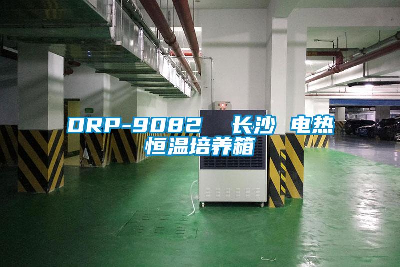 DRP-9082  長(cháng)沙 電熱恒溫培養箱