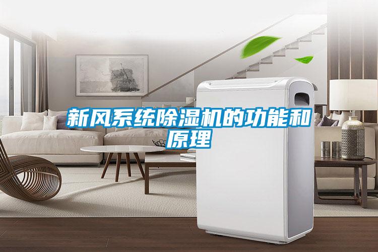 新風(fēng)系統除濕機的功能和原理