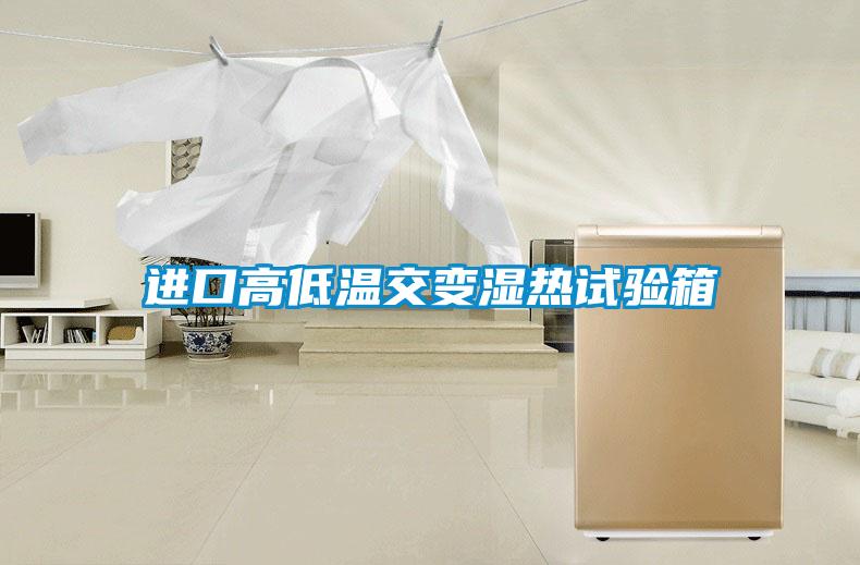 進(jìn)口高低溫交變濕熱試驗箱