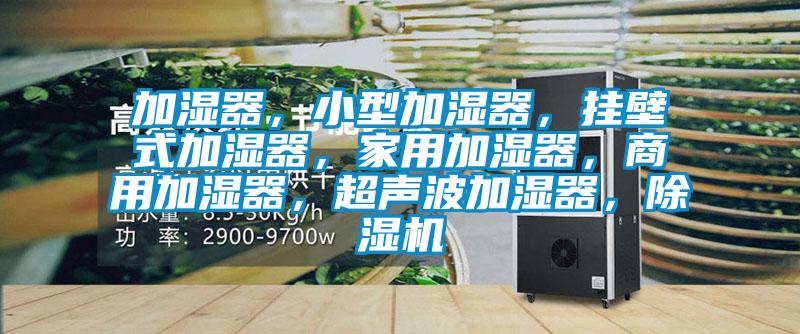 加濕器，小型加濕器，掛壁式加濕器，家用加濕器，商用加濕器，超聲波加濕器，除濕機