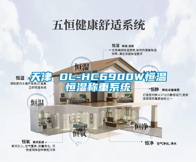 天津 DL-HC6900W恒溫恒濕稱(chēng)重系統