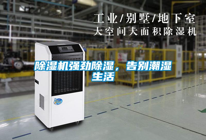 除濕機強勁除濕，告別潮濕生活