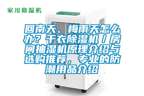 回南天、梅雨天怎么辦？干衣除濕機／房間抽濕機原理介紹與選購推薦，專(zhuān)業(yè)的防潮用品介紹