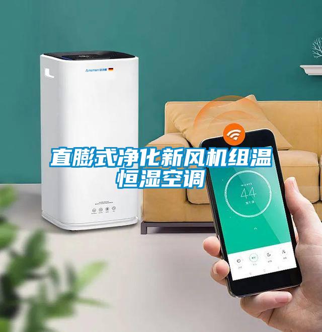 直膨式凈化新風(fēng)機組溫恒濕空調