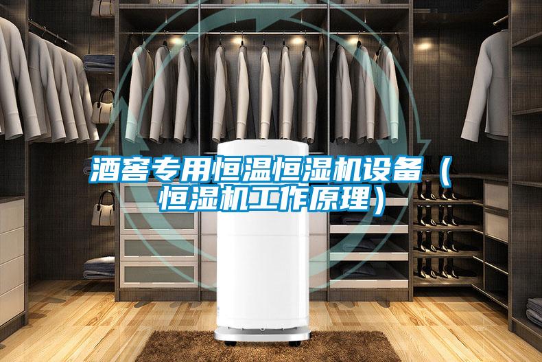 酒窖專(zhuān)用恒溫恒濕機設備（恒濕機工作原理）