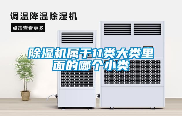 除濕機屬于11類(lèi)大類(lèi)里面的哪個(gè)小類(lèi)