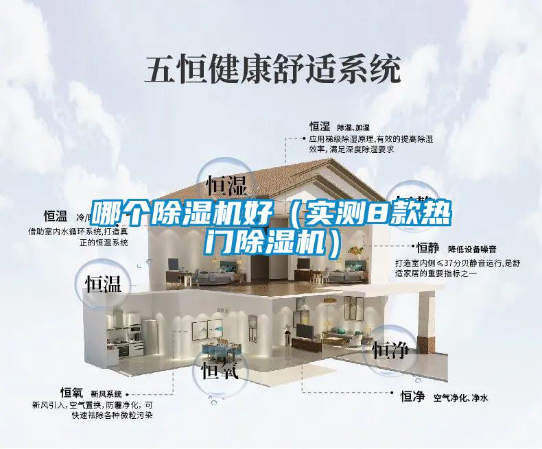 哪個(gè)除濕機好（實(shí)測8款熱門(mén)除濕機）