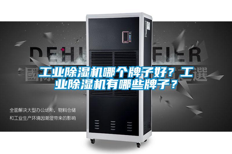 工業(yè)除濕機哪個(gè)牌子好？工業(yè)除濕機有哪些牌子？