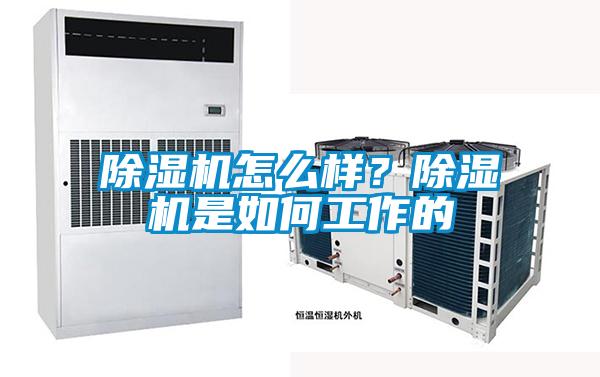 除濕機怎么樣？除濕機是如何工作的