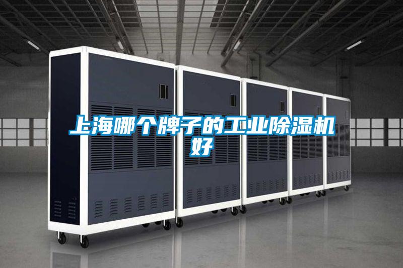 上海哪個(gè)牌子的工業(yè)除濕機好