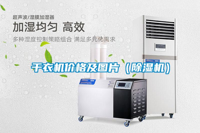 干衣機價(jià)格及圖片（除濕機）
