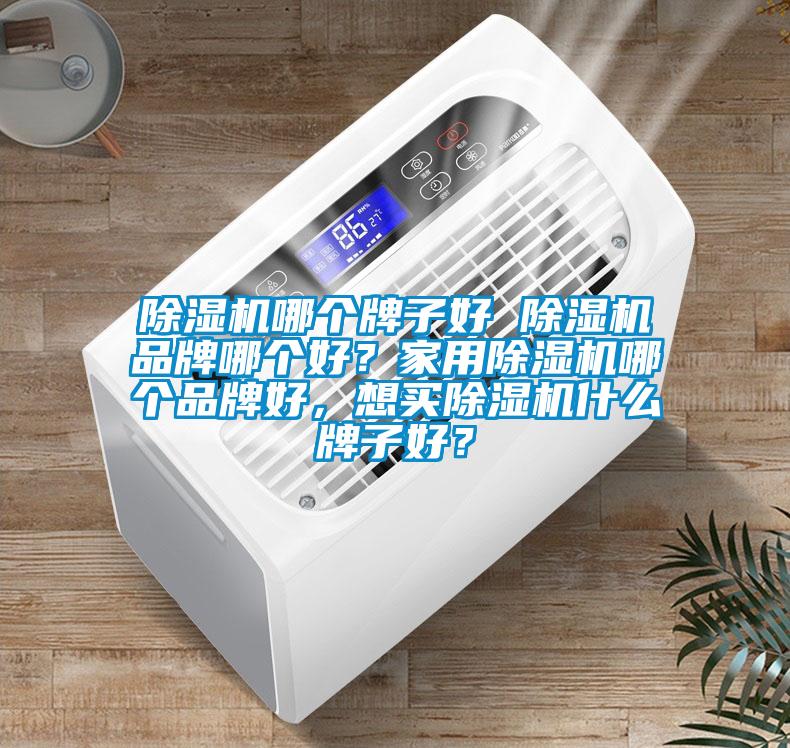 除濕機哪個(gè)牌子好 除濕機品牌哪個(gè)好？家用除濕機哪個(gè)品牌好，想買(mǎi)除濕機什么牌子好？