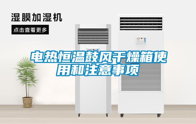 電熱恒溫鼓風(fēng)干燥箱使用和注意事項